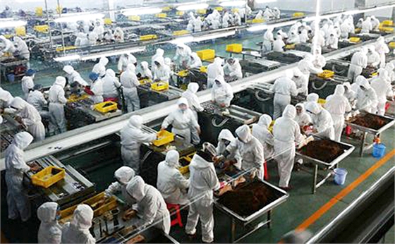 龍鐵鼓風機:為你的生產(chǎn)制造服務保障!   龍鐵鼓風機:為你的生產(chǎn)制造服務保障!