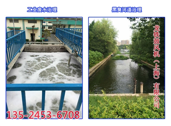 污水處理鼓風機 污水處理鼓風機