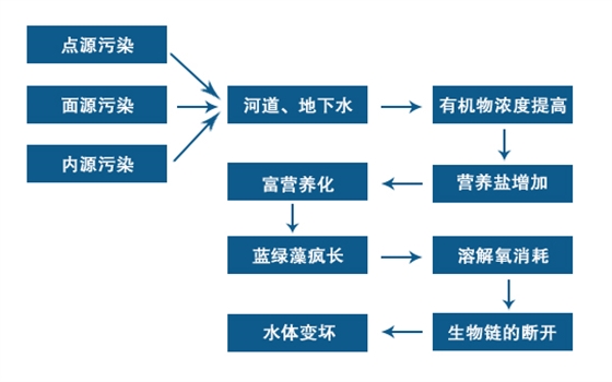 黑臭河道形成過程 黑臭河道形成過程