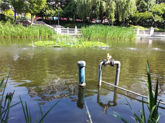 沉水風(fēng)機(jī)曝氣增氧 沉水風(fēng)機(jī)曝氣增氧