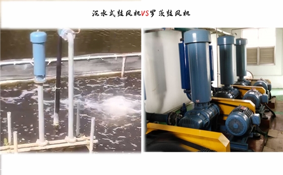 沉水式鼓風(fēng)機在水處理行業(yè)中的優(yōu)點pg 沉水式鼓風(fēng)機在水處理行業(yè)中的優(yōu)點pg