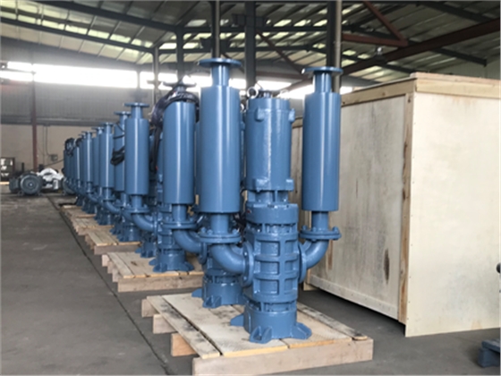 龍鐵沉水風(fēng)機(jī) 龍鐵沉水風(fēng)機(jī)