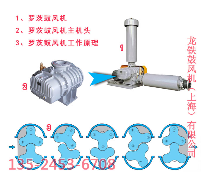 羅茨鼓風(fēng)機品牌 羅茨鼓風(fēng)機品牌