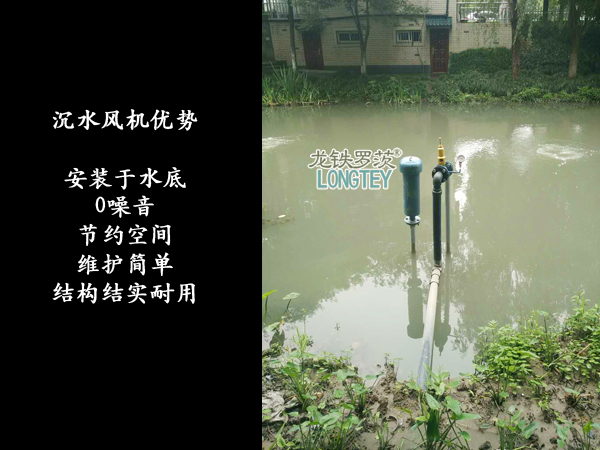 污水處理技術(shù) 污水處理技術(shù)