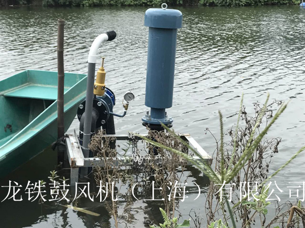 龍鐵沉水式鼓風(fēng)機(jī)多少錢？.jpg