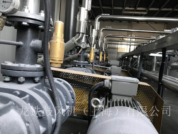 羅茨鼓風(fēng)機正負(fù)荷運行.jpg